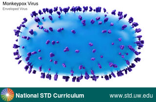 Diagnosis: Mpox, Clinical Signs: N/A, Locations: N/A, Symptoms: N/A, Image Type: Illustration