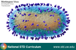 Diagnosis: Mpox, Clinical Signs: N/A, Locations: N/A, Symptoms: N/A, Image Type: Illustration