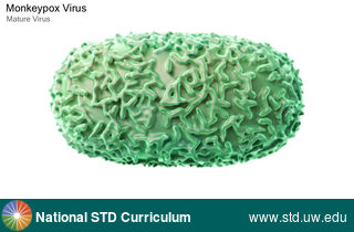 Diagnosis: Mpox, Clinical Signs: N/A, Locations: N/A, Symptoms: N/A, Image Type: Illustration