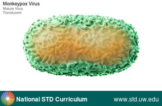 Diagnosis: Mpox, Clinical Signs: N/A, Locations: N/A, Symptoms: N/A, Image Type: Illustration