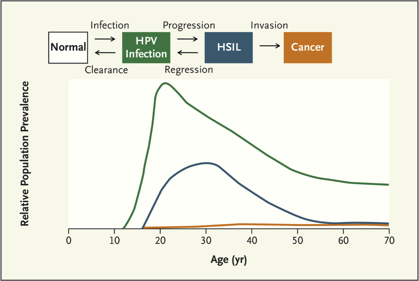 human papillomavirus origin)