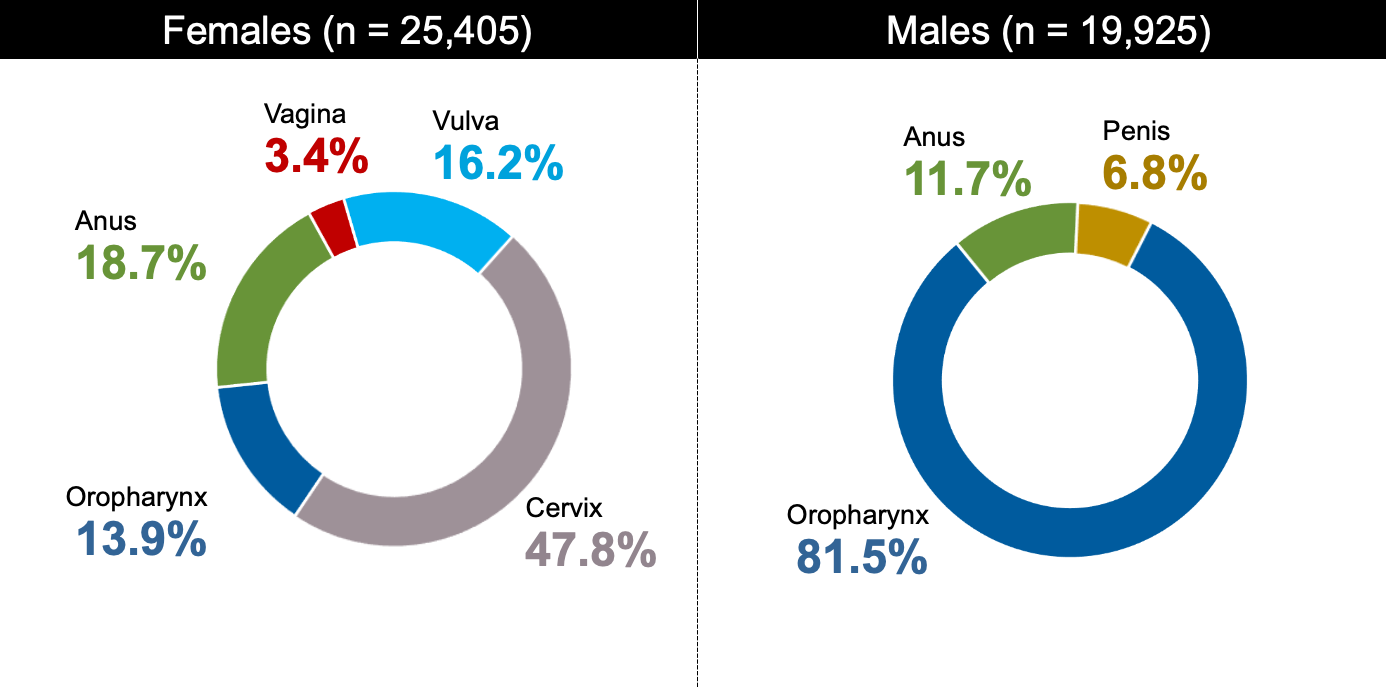 mild hpv male