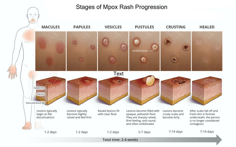 Image Library - Quiz - National STD Curriculum